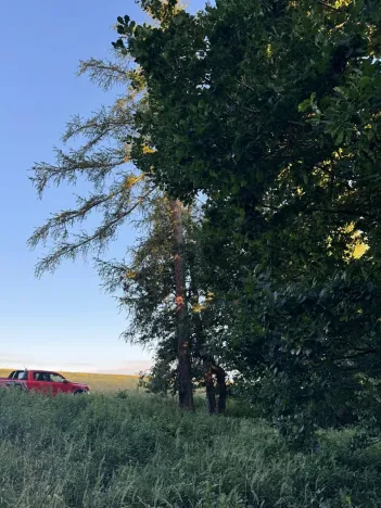 Prodej lesa, Vlašim, 3990 m2