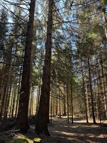 Prodej podílu pozemku, Studená, 18432 m2