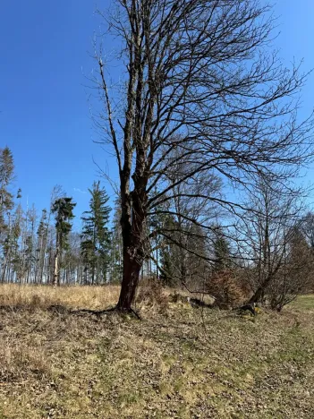 Prodej podílu pozemku, Studená, 18432 m2