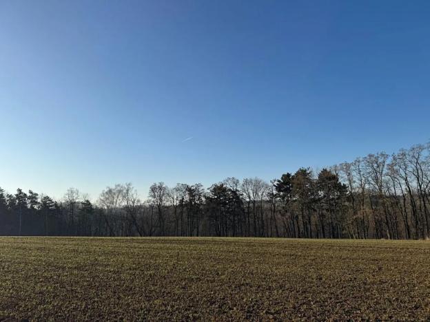 Prodej lesa, Mělnické Vtelno, 14092 m2