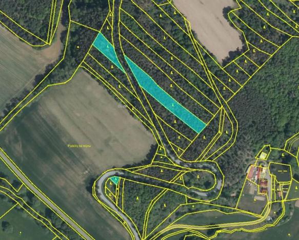 Prodej lesa, Náměšť nad Oslavou, 4445 m2