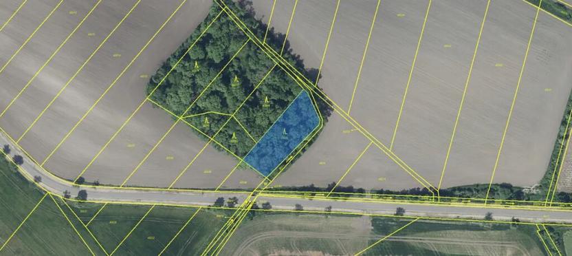 Prodej lesa, Děčany, 1581 m2