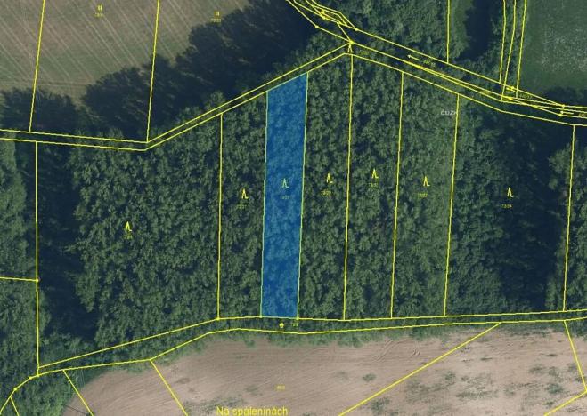 Prodej podílu lesa, Sobotka, 1701 m2