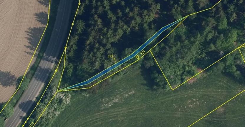 Prodej podílu lesa, Malá Skála, 6790 m2