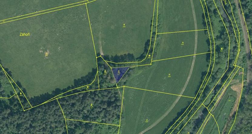 Prodej podílu lesa, Malenice, 3819 m2