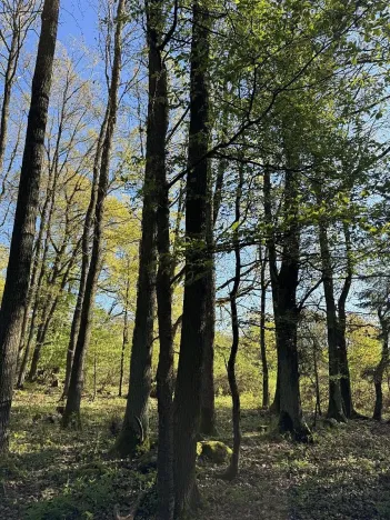 Prodej pozemku, Čížkov, 24151 m2