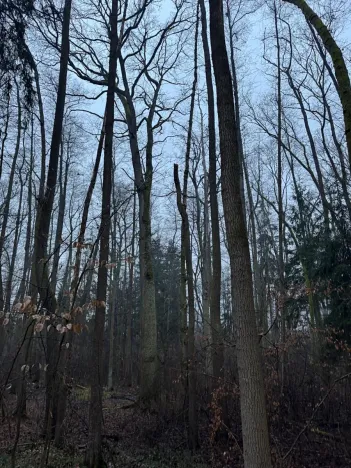 Prodej pozemku, Třebechovice pod Orebem, 14875 m2