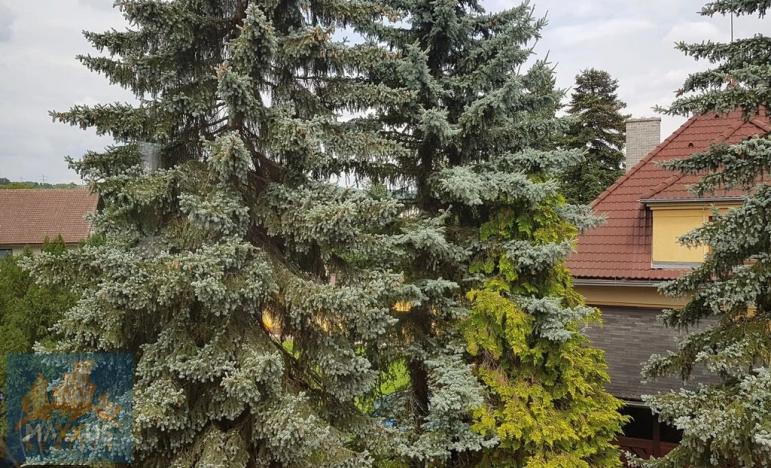 Pronájem bytu 3+1, Řevnice, Selecká, 105 m2