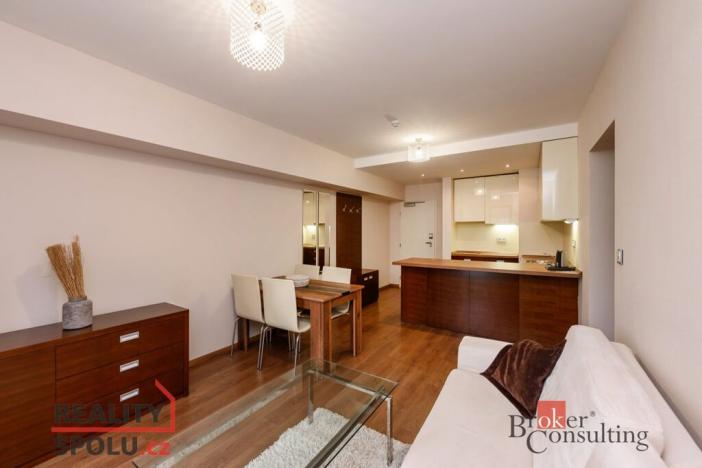 Prodej bytu 2+kk, Plzeň - Jižní Předměstí, U Borského parku, 52 m2