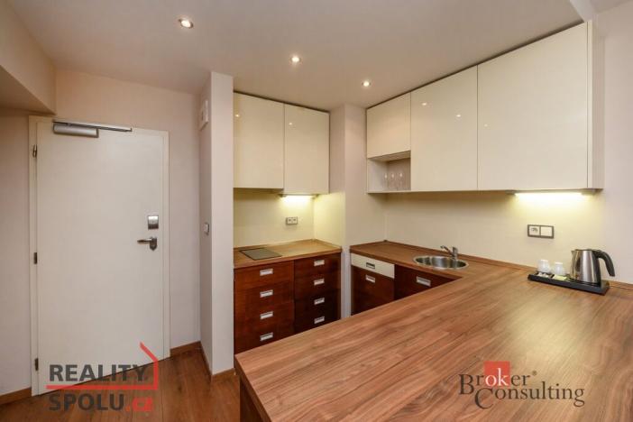 Prodej bytu 2+kk, Plzeň - Jižní Předměstí, U Borského parku, 52 m2