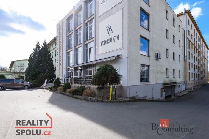 Prodej bytu 2+kk, Plzeň - Jižní Předměstí, U Borského parku, 52 m2