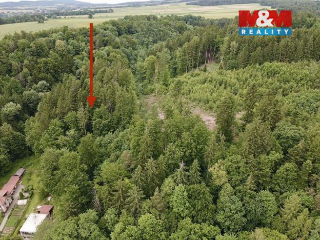 Prodej lesa, Ústí nad Orlicí - Oldřichovice, 2745 m2