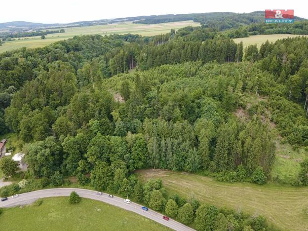 Prodej lesa, Ústí nad Orlicí - Oldřichovice, 2745 m2