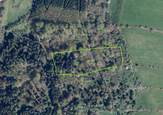 Prodej pole, Petrovice, 16989 m2