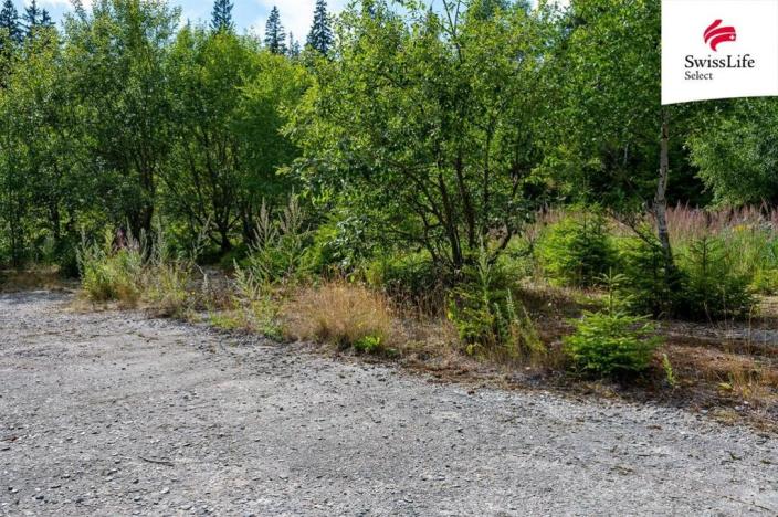 Prodej komerčního pozemku, Stará Ves - Žďárský Potok, 1558 m2