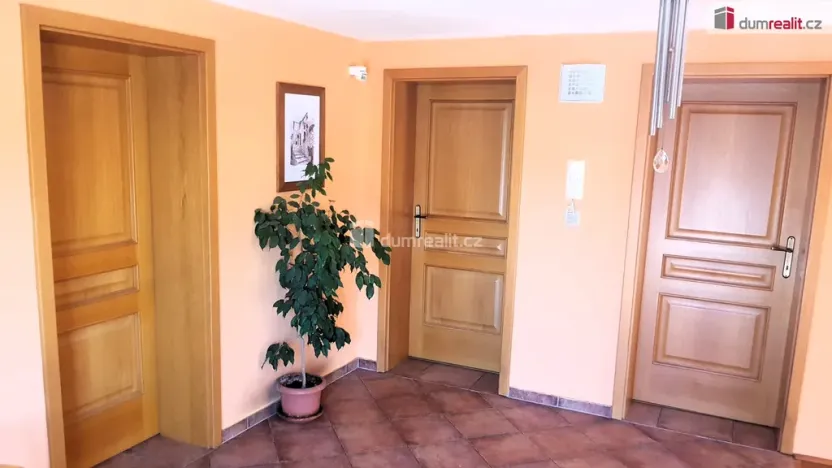 Prodej rodinného domu, Hodonín, Plucárna, 303 m2