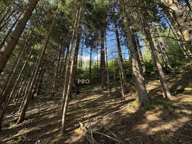 Prodej pozemku pro bydlení, Velké Karlovice, 45173 m2