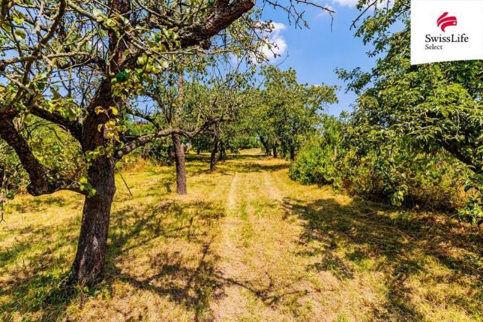 Prodej zahrady, Znojmo, 1587 m2