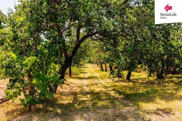 Prodej zahrady, Znojmo, 1587 m2