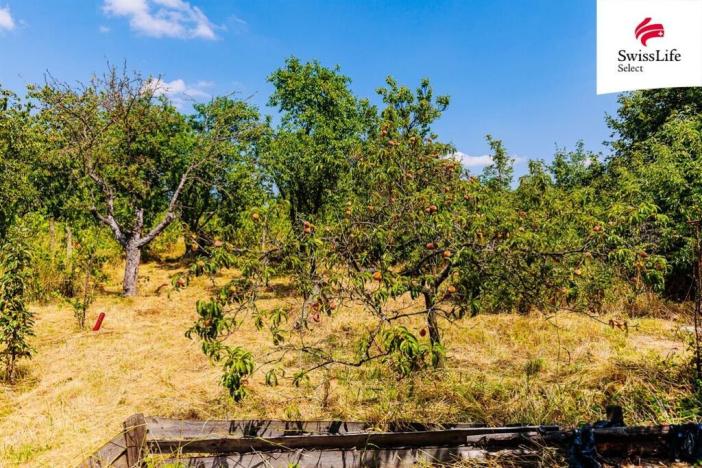 Prodej zahrady, Znojmo, 1587 m2