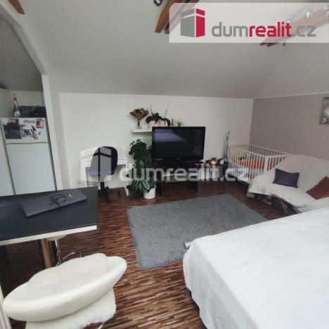 Prodej rodinného domu, Děčín - Děčín II-Nové Město, Nedbalova, 490 m2