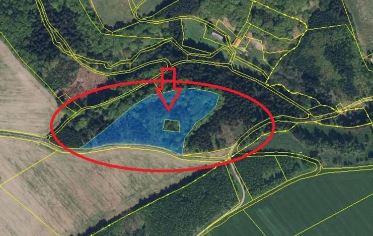 Prodej podílu lesa, Liberk, 5585 m2