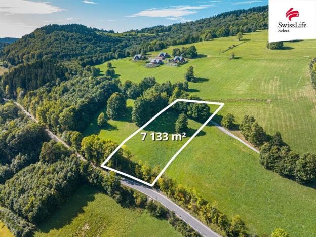 Prodej louky, Žacléř, 7133 m2