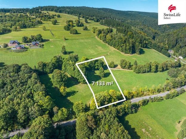 Prodej louky, Žacléř, 7133 m2