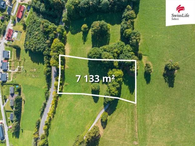 Prodej louky, Žacléř, 7133 m2