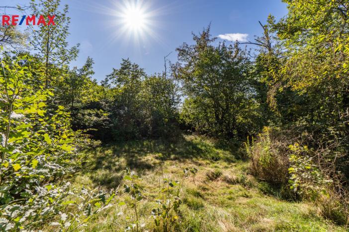 Prodej pozemku pro bydlení, Přestavlky u Čerčan, 725 m2