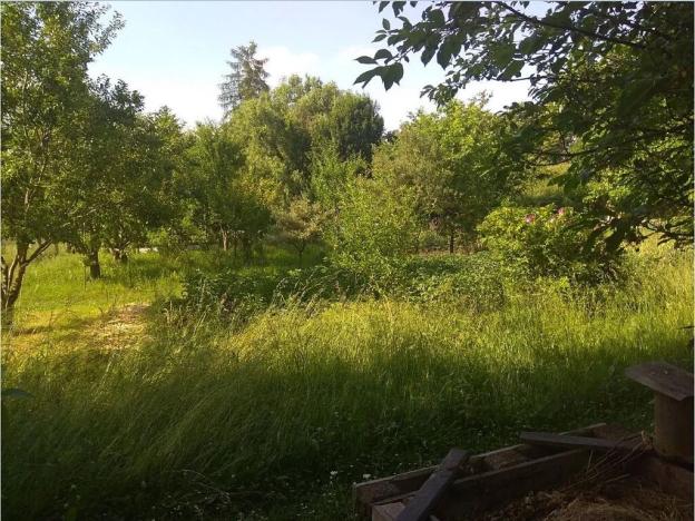 Prodej zahrady, Mohelnice, 391 m2