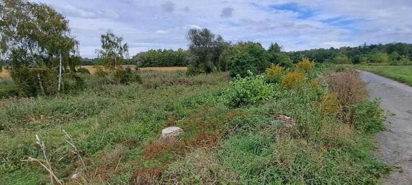 Prodej zahrady, Borek, 3737 m2