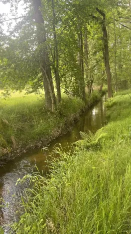 Prodej louky, Chlum u Třeboně - Žíteč, 389696 m2