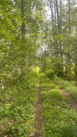 Prodej louky, Chlum u Třeboně - Žíteč, 389696 m2