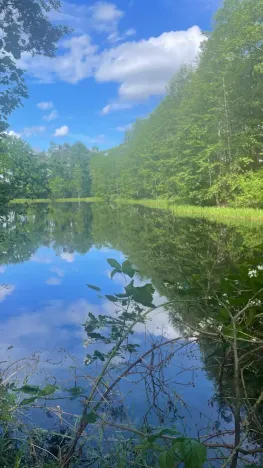 Prodej louky, Chlum u Třeboně - Žíteč, 389696 m2