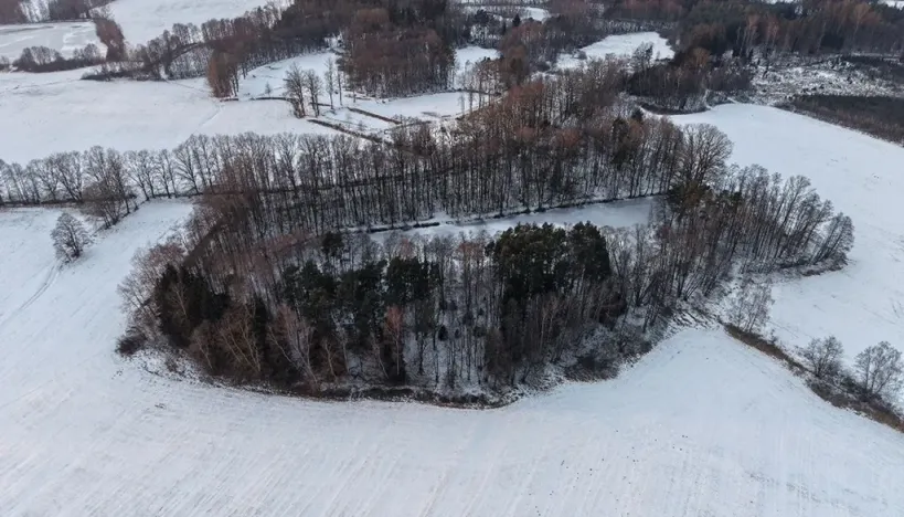 Prodej lesa, Chlum u Třeboně - Žíteč, 389696 m2