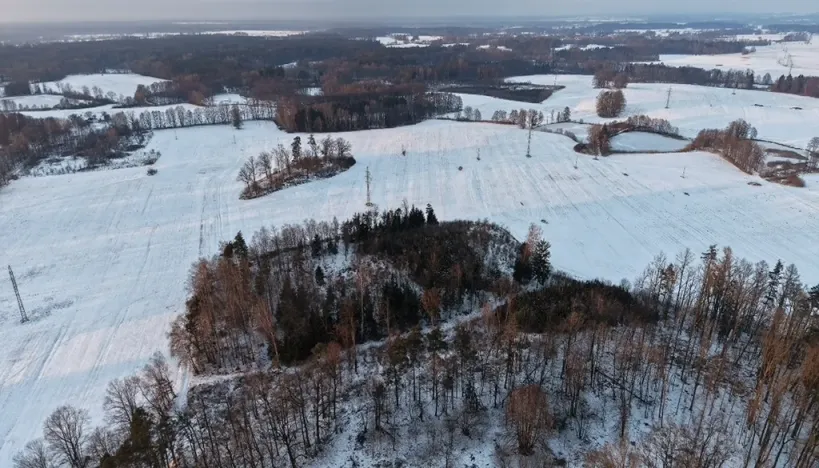 Prodej lesa, Chlum u Třeboně - Žíteč, 389696 m2