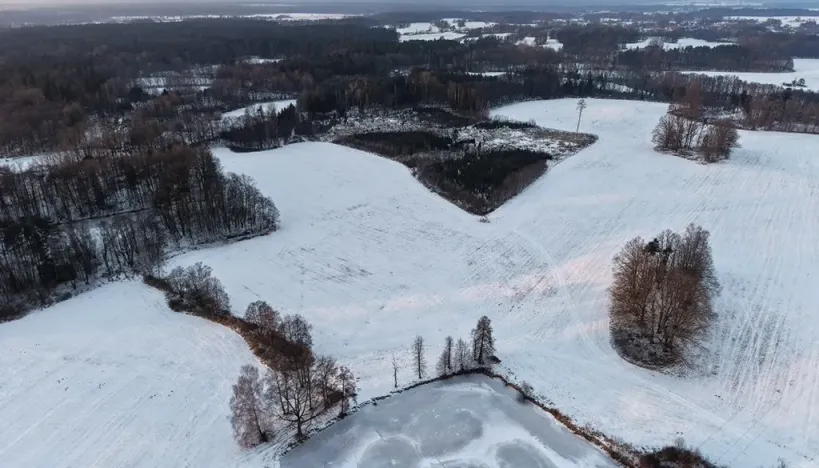 Prodej lesa, Chlum u Třeboně - Žíteč, 389696 m2