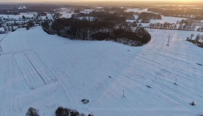 Prodej lesa, Chlum u Třeboně - Žíteč, 389696 m2