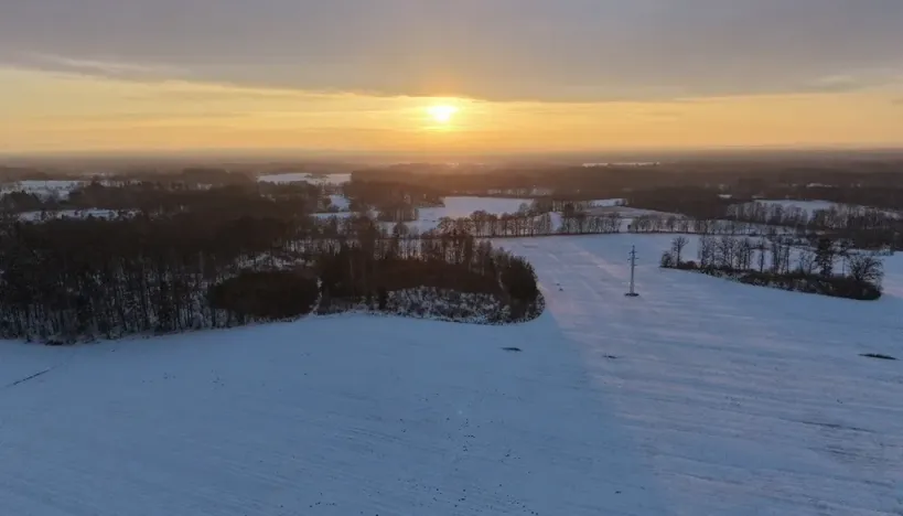 Prodej lesa, Chlum u Třeboně - Žíteč, 389696 m2
