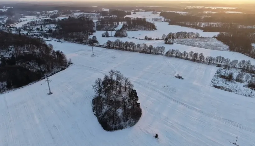 Prodej lesa, Chlum u Třeboně - Žíteč, 389696 m2