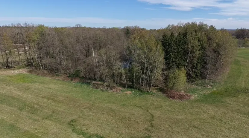 Prodej lesa, Chlum u Třeboně - Žíteč, 360000 m2