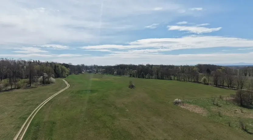 Prodej lesa, Chlum u Třeboně - Žíteč, 360000 m2