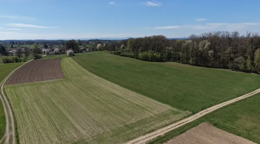 Prodej lesa, Chlum u Třeboně - Žíteč, 360000 m2