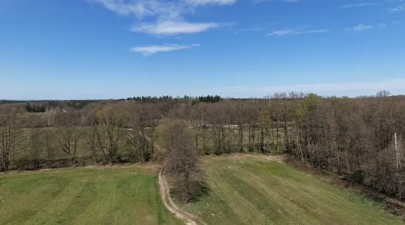 Prodej lesa, Chlum u Třeboně - Žíteč, 360000 m2