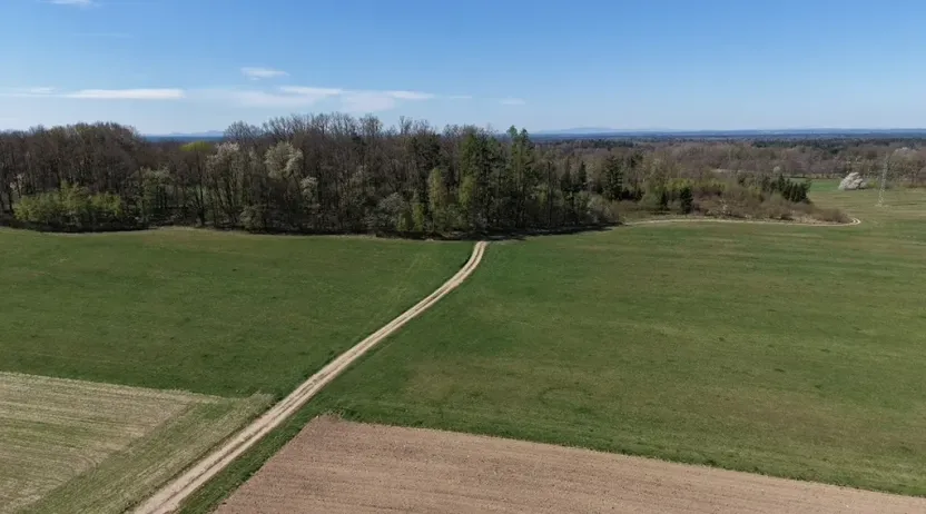 Prodej lesa, Chlum u Třeboně - Žíteč, 360000 m2