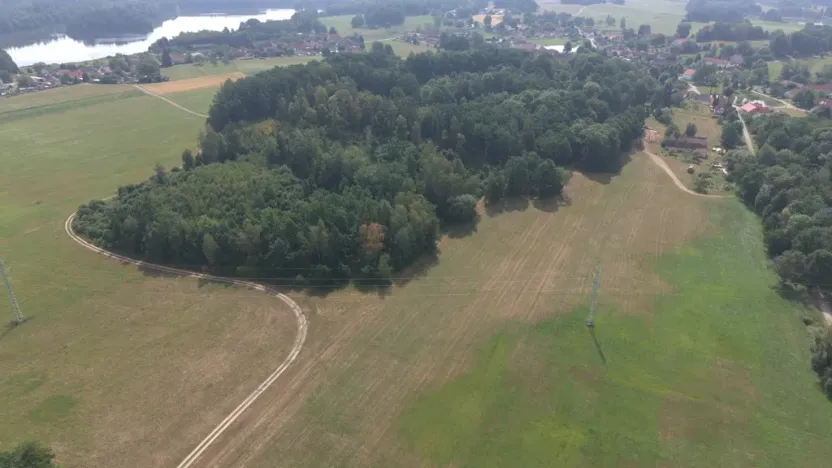 Prodej lesa, Chlum u Třeboně - Žíteč, 360000 m2