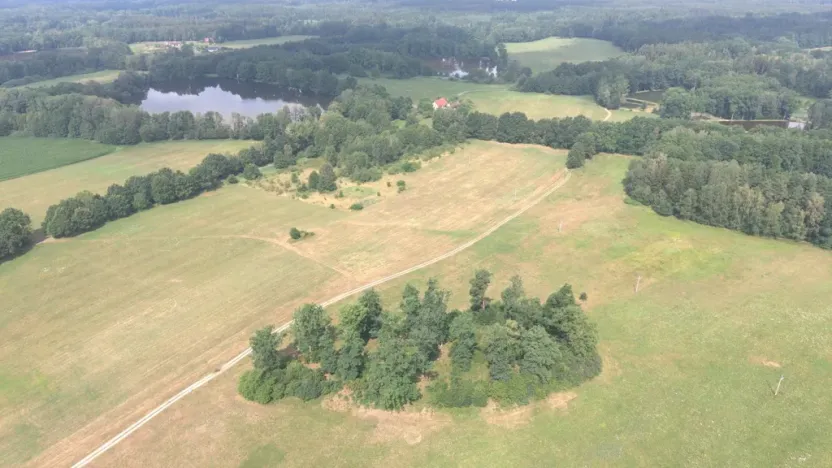 Prodej lesa, Chlum u Třeboně - Žíteč, 360000 m2