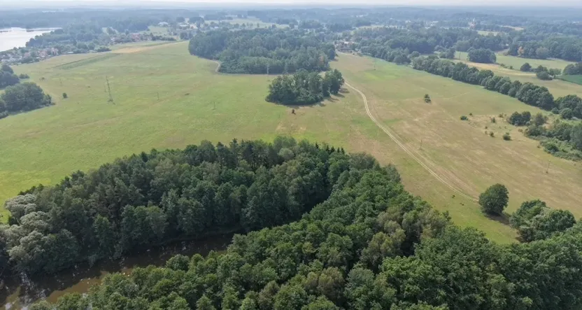 Prodej lesa, Chlum u Třeboně - Žíteč, 360000 m2