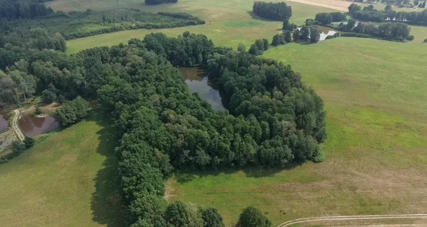 Prodej louky, Chlum u Třeboně - Žíteč, 360000 m2